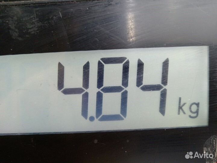 Пружина подвески задняя для Audi A6 C5