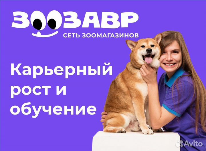 Продавец-кассир в зоомагазин (Вологда, Герцена)