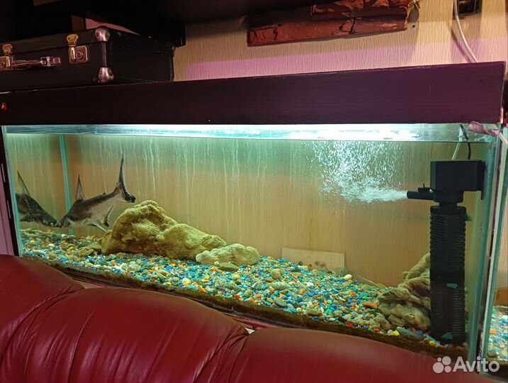 Аквариумы 3 штуки с тумбами