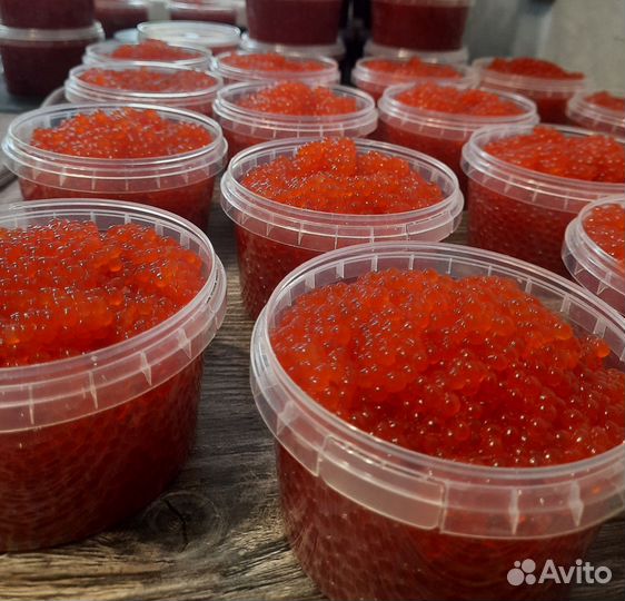 Красная рыба,икра