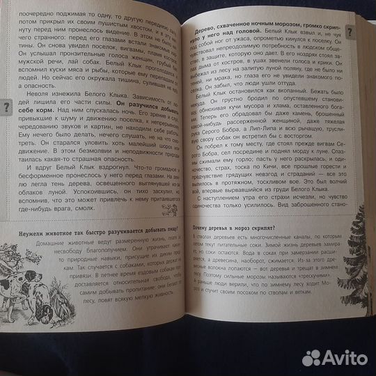 Джек Лондон 