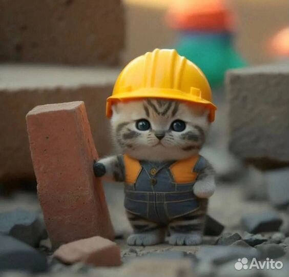 Аренда профессионального инструмента