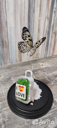 Композиция 