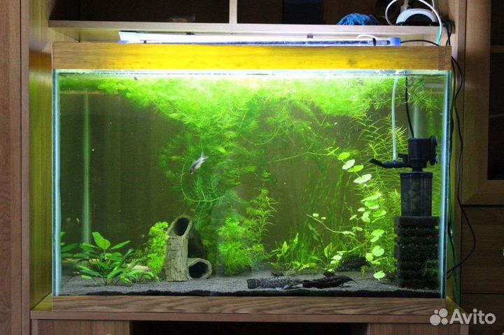 Аквариум