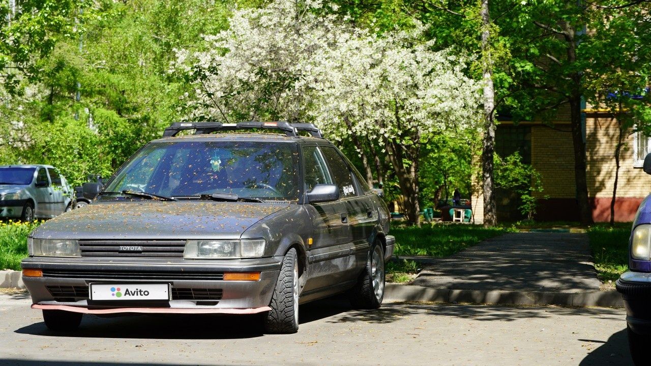 Toyota Corolla: фото владельца