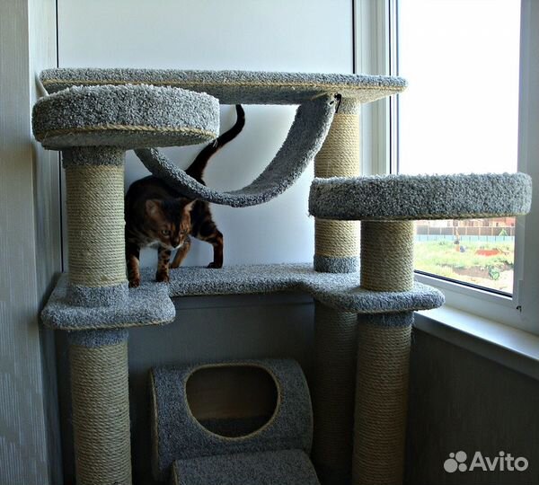 Когтеточка-комплекс 