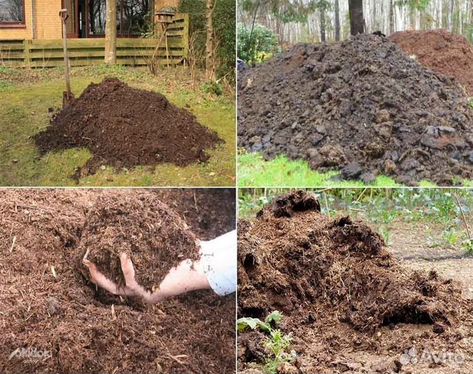 Перегной Земля Навоз Чернозем