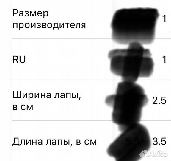 Кеды для собак