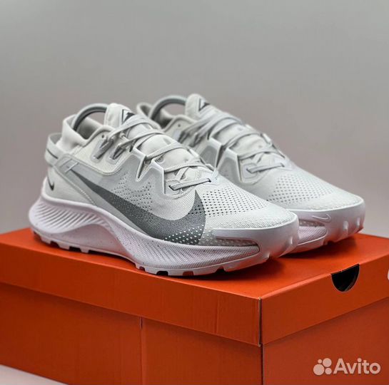 Кроссовки Nike Pegasus Trail 2 мужские летние