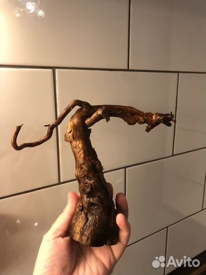 Коряга в аквариум