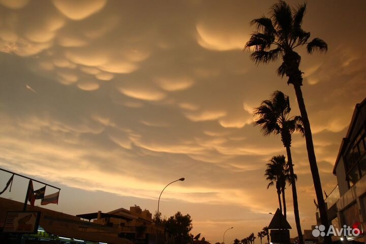 Мили Аэрофлот