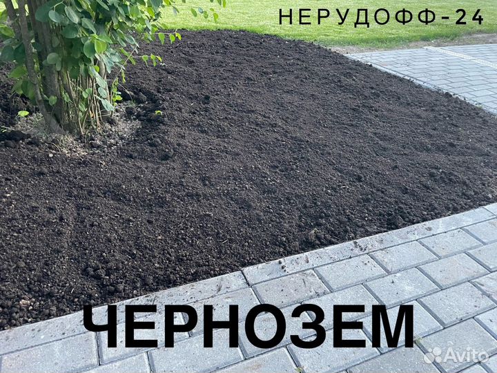 Чернозём