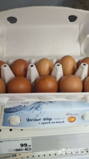 Домашние куриные яйца