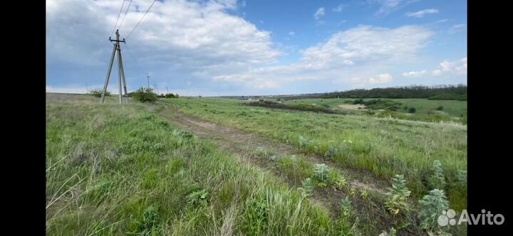 Женская верхняя одежда 52 54