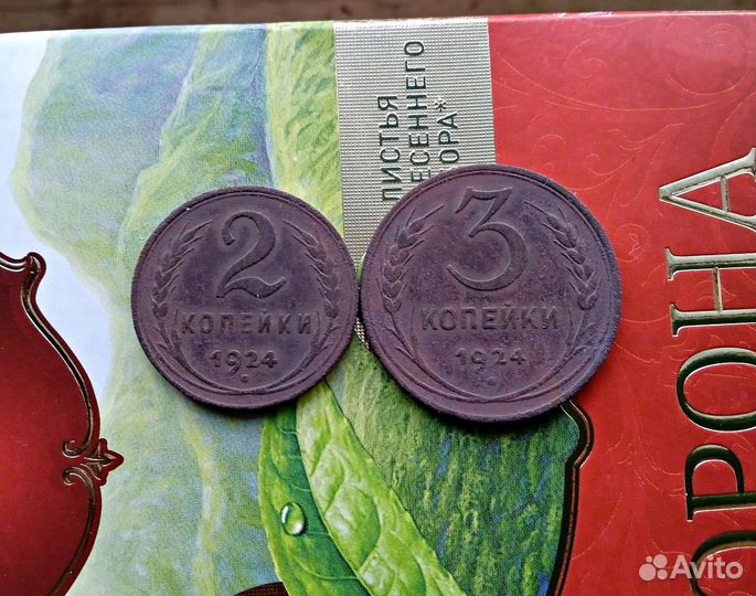 2 и 3 копейки 1924 год