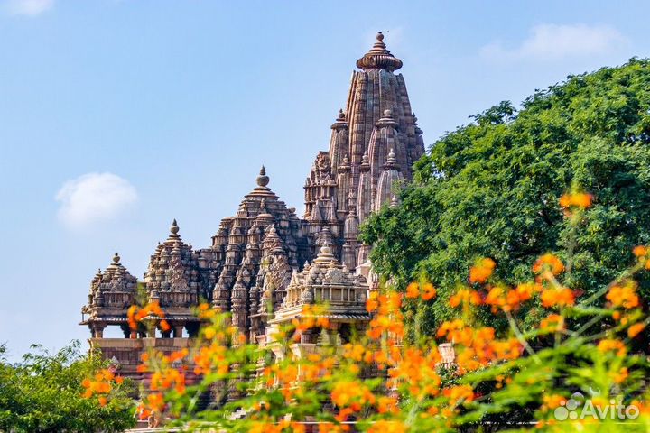 Дели Топ-Экскурсия Влюбиться в Индию: индивидуальн