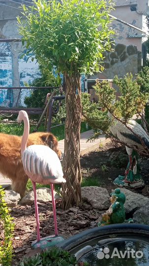 Плетёная ива на штамбе, русская пальма