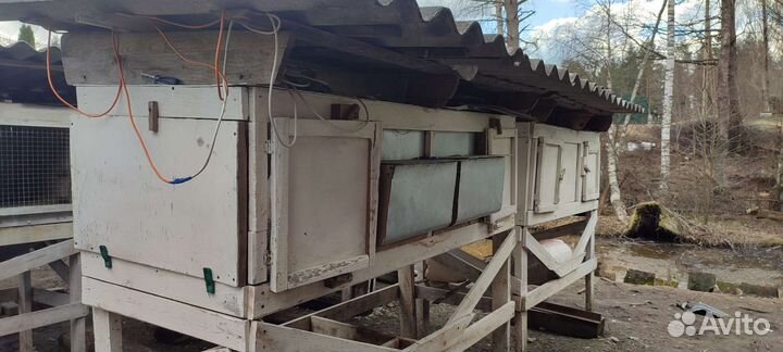 Клетки для кроликов