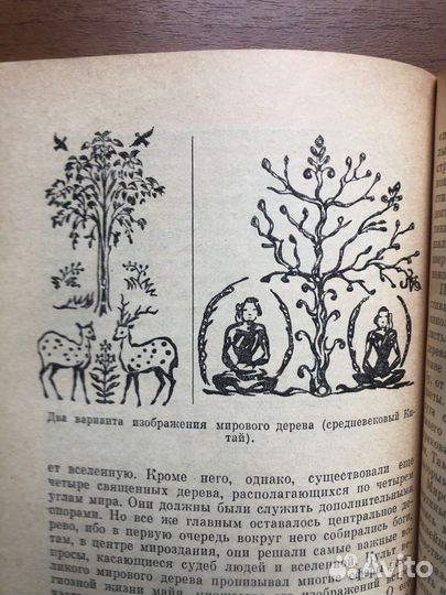 Мифы о вселенной. В. Евсюков. 1988г
