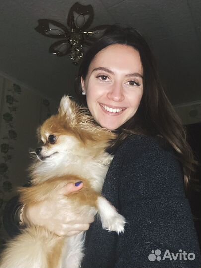 Догситтер передержка выгул собак