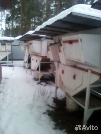 Клетки для кроликов михайлова