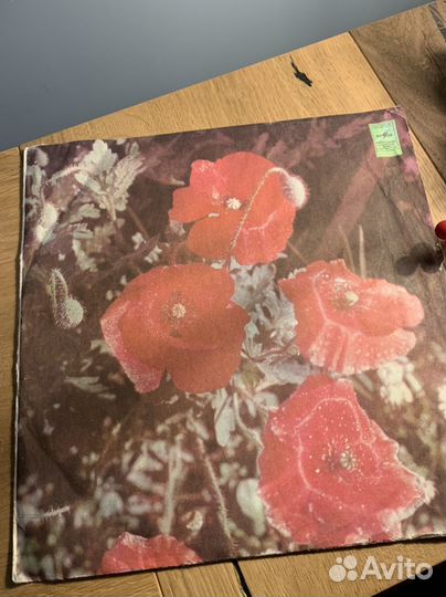 Песни Рима Хасанова винил, на башкирском языке