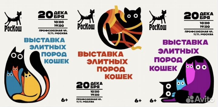 Графический дизайнер