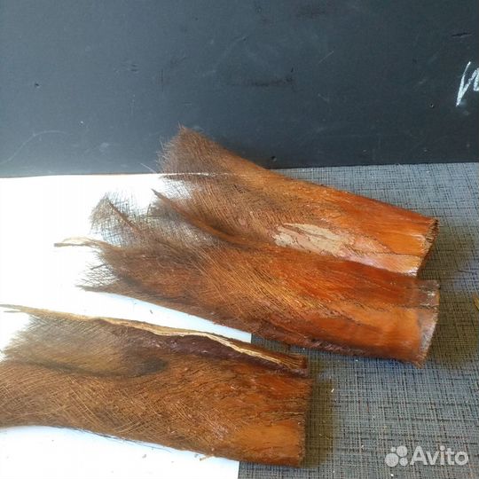 Кора пальмы