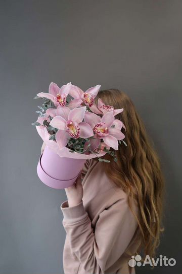 Орхидея фаленопсис