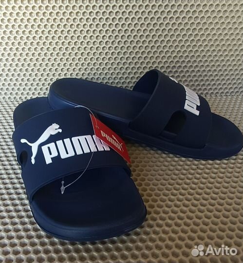 Сланцы Puma