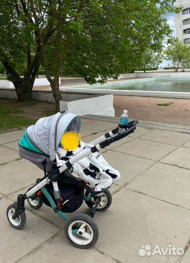 Коляска adamex gloria 3 в 1