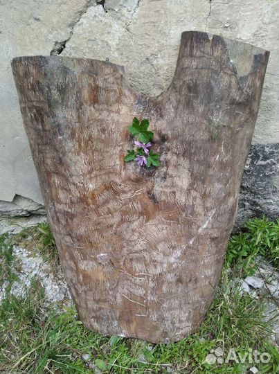 Слэб спил ясень