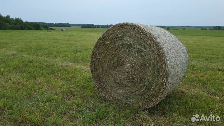Сено. Качественное. В рулонах и тюках (брикетах)