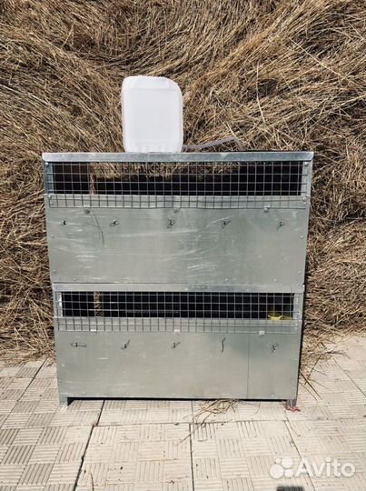 Клетки для перепелов