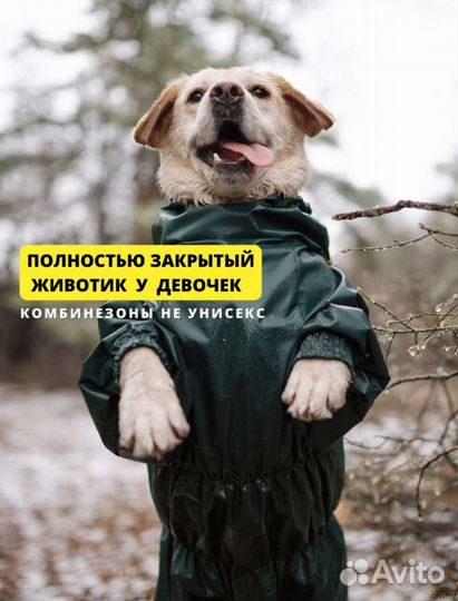 Комбинезон демисезонный размер 50+ 3XL+