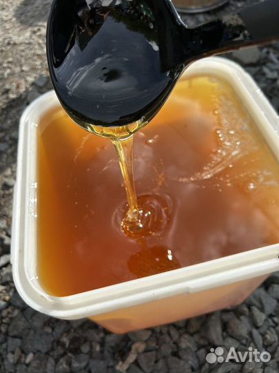 Мед Майский опт