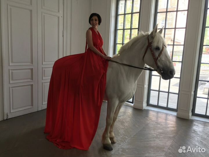 Фотосъёмка животных мероприятия