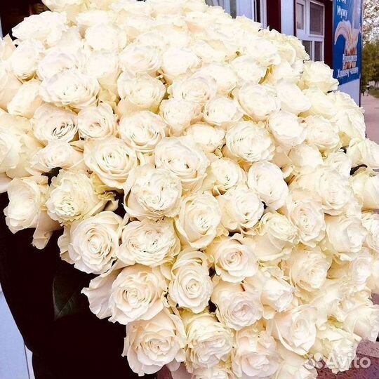 Высокие розы Гигантские розы Доставка цветов