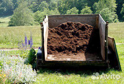Навоз (без примесей валом )