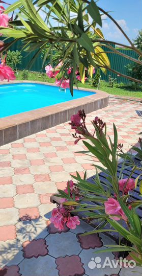 Дом с баней и теплым бассейном