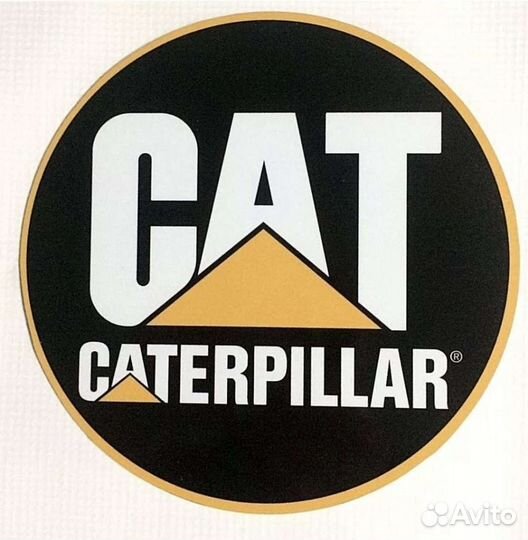 Диагностика CAT