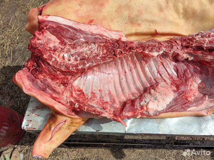 Продам мясо свинина