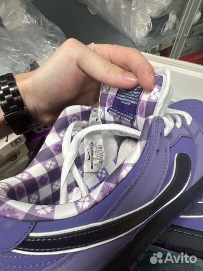 Nike SB dunk low purple Lobster