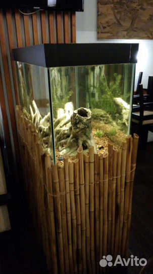 Обслуживание и чистка аквариумов