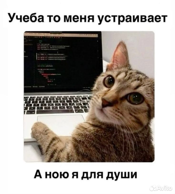 Помощь студентам и школьникам, Астрахань