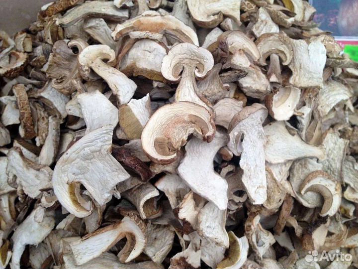 Продам белые сухие грибы из Соснового леса
