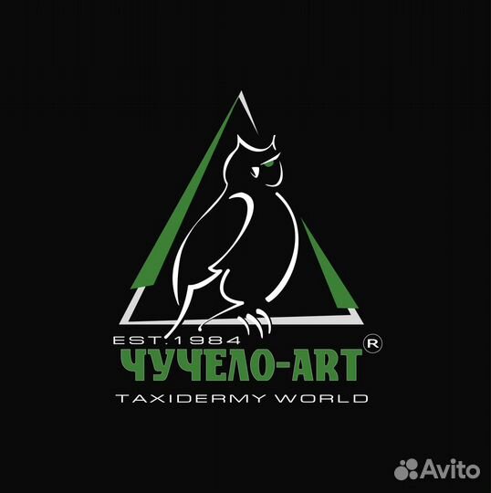 Таксидермия, изготовление любых чучел