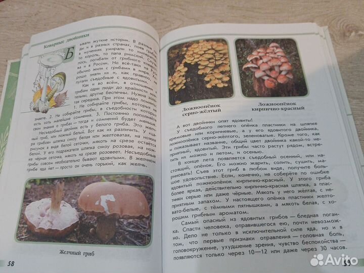 Книга Зелёные страницы