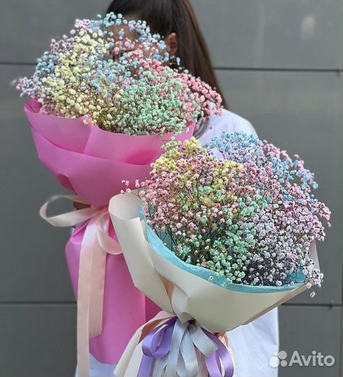 Гипсофила радужная