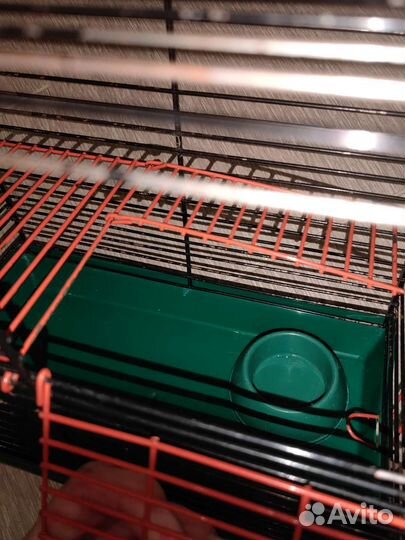 Клетка для грызунов бу